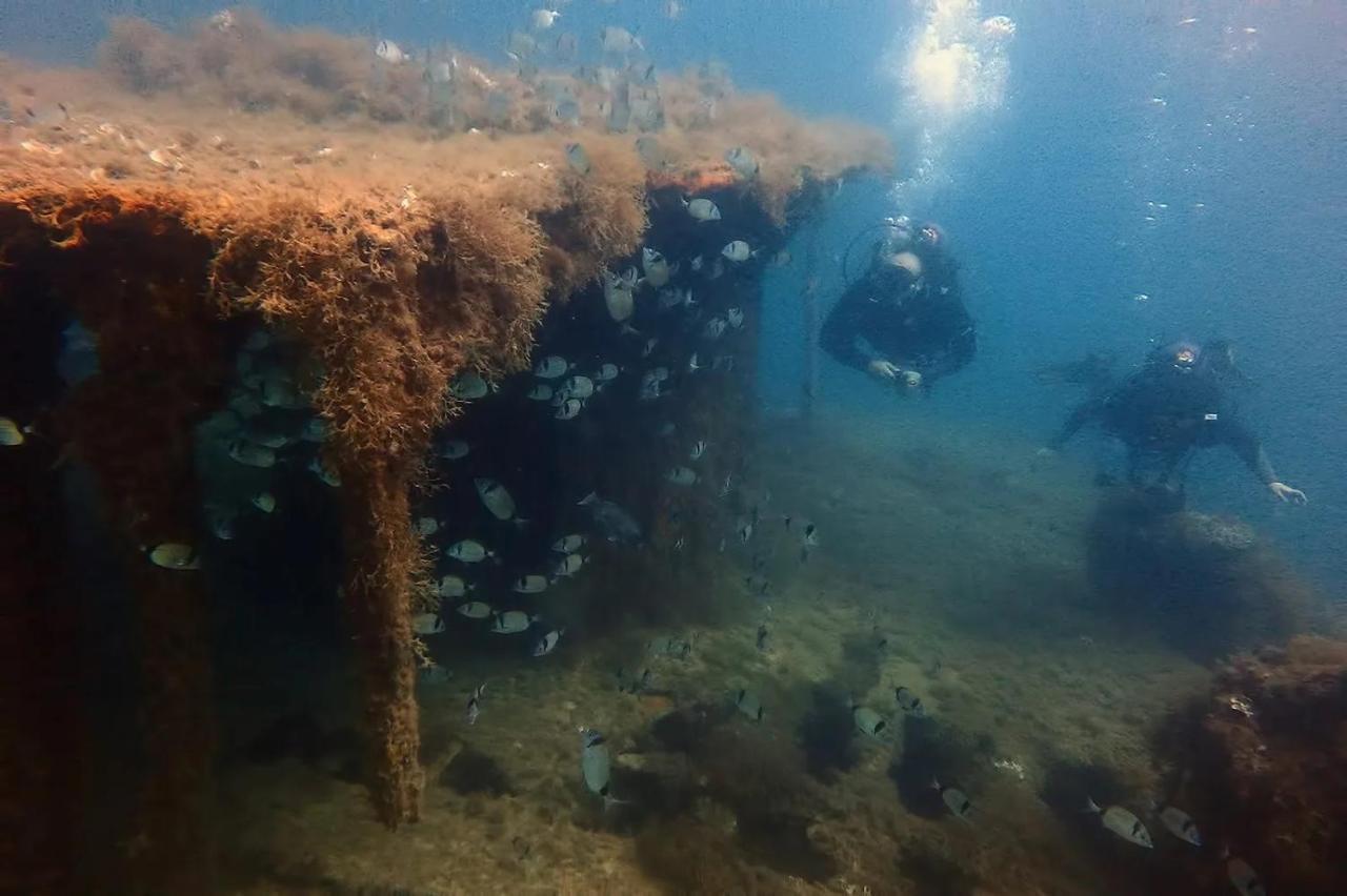 Brant Lodging Sliema Zewnętrze zdjęcie